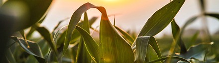 Successful Defense of Multinational Agrochemical Company