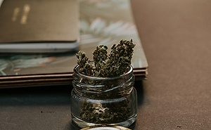 Smoke Signals – What’s On the Horizon for Medical Cannabis in West Virginia?